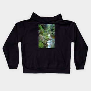 Canyon stream Kids Hoodie